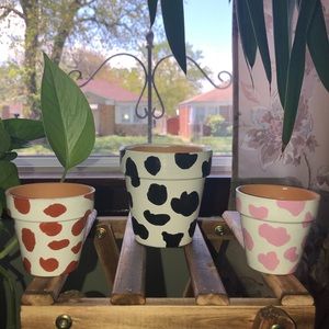 Bundle of 3 small terra cotta cow print pots
